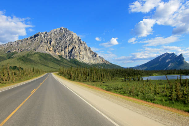 vista della dalton highway con montagne, che porta da fairbanks a prudhoe bay, alaska, stati uniti - fairbanks foto e immagini stock