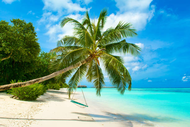 istock Beautiful landscape of sandy beach, Maldives 904119340