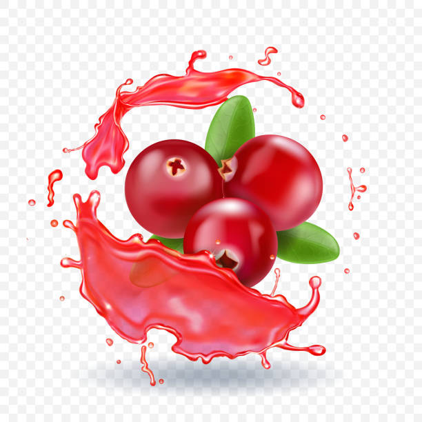 illustrazioni stock, clip art, cartoni animati e icone di tendenza di mirtillo rosso in succo splash illustrazione vettoriale realistica - cranberry juice