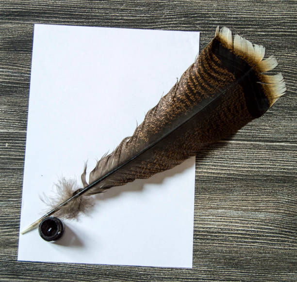 istock white paper and turkey feather, 904123058