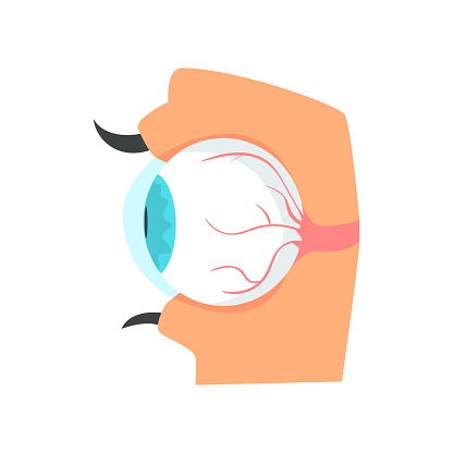 Ilustración de Globo Ocular Anatomía De Dibujos Animados De Ojo Humano Vector Ilustración y más Vectores Libres de Derechos de Ojo - iStock Ilustración de Globo Ocular Anatomía De Dibujos Animados De Ojo Humano Vector Ilustración y más Vectores Libres de Derechos de Ojo - iStock