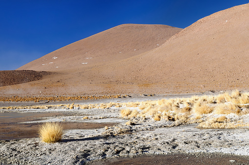South America - Bolivia. The surreal landscape is nearly treeless, punctuated by gentle hills and volcanoes near Chilean border. The picture present hot spring