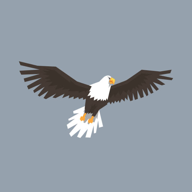 istock North American Bald Eagle flying, symbol of freedom and independence vector illustration 904127276