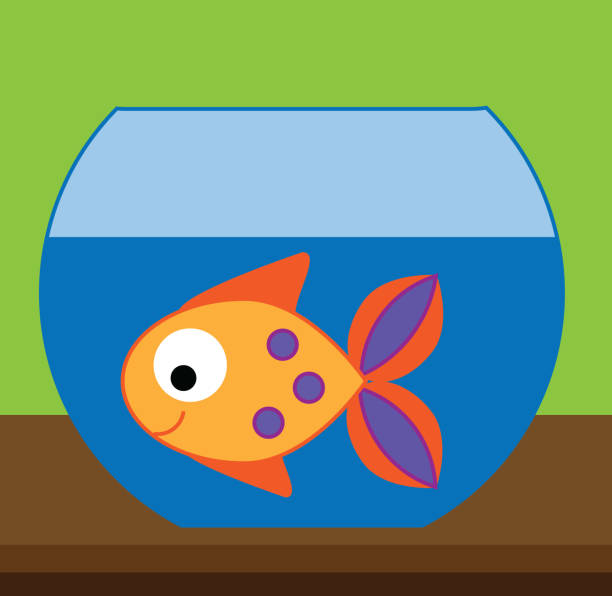 istock Fish in aquarium. illustration for kids and children books 904128940
