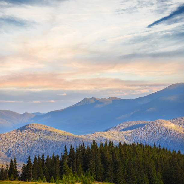 istock mountain ridge in a blue mist at the evening 904137714