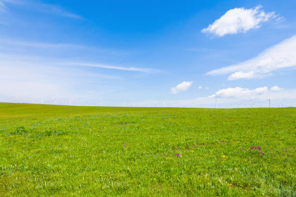 istock wind power station in the country 904141240