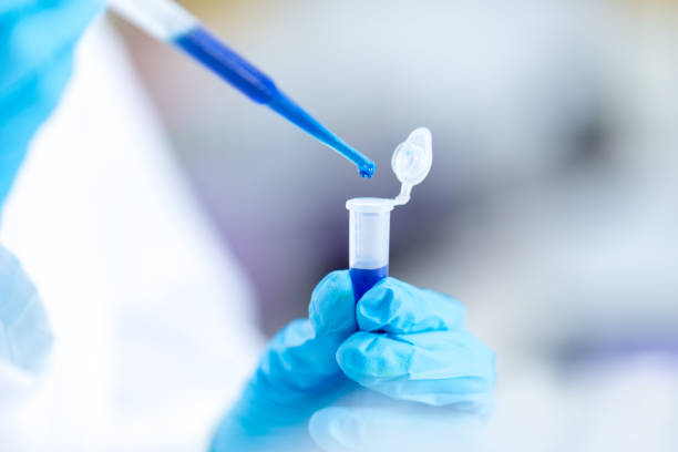 istock Biochemical analysis and Chemical analysis  in Lab. 904149834