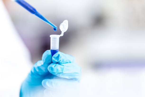 istock Biochemical analysis and Chemical analysis  in Lab. 904149872