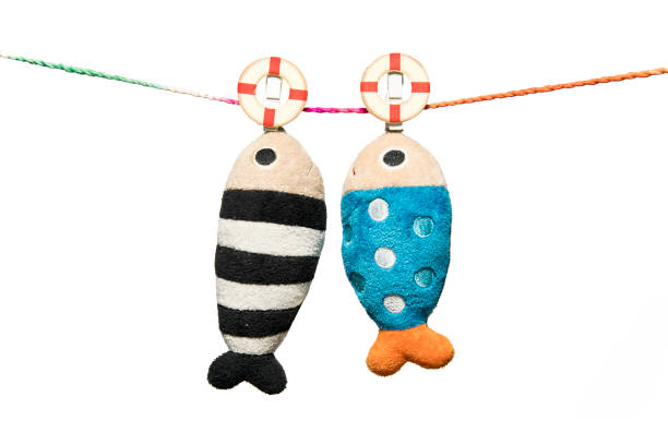 istock two pillows fish shape hanging on the rope isolated on white background 904150230
