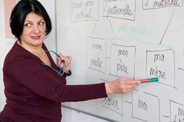 Adults learning a French language Female teacher writing a french words on a whiteboard in the classroom. french language photos stock pictures, royalty-free photos & images