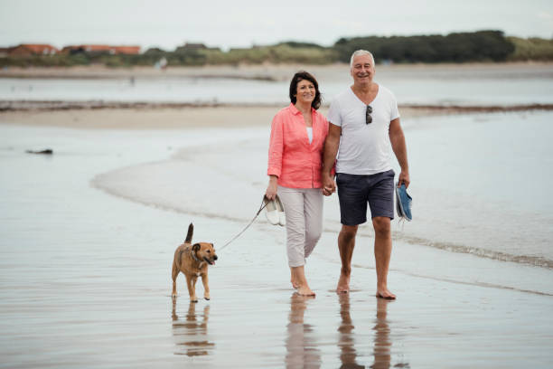 istock Senior Couple Walking On The Beach With a Dog 904169206