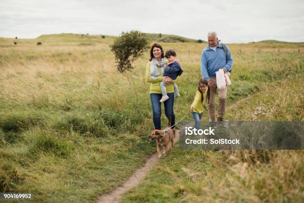 Zwei Generationen Spazieren Stockfoto und mehr Bilder von Gehen - Gehen, Familie, Wandern