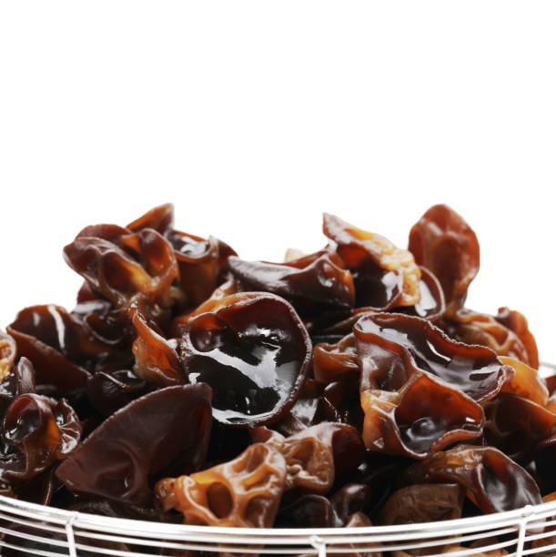 istock Black fungus on a white background 904170202