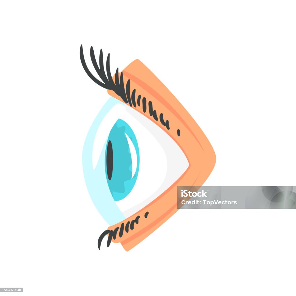 Ilustración de Ojo Humano Con El Vector De Contacto Lense Lado Ver Dibujos Animados Ilustración y más Vectores Libres de Derechos de Alemania - iStock Ilustración de Ojo Humano Con El Vector De Contacto Lense Lado Ver Dibujos Animados Ilustración y más Vectores Libres de Derechos de Alemania - iStock