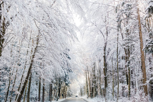 istock winter koenigssee bayern alps 904170768