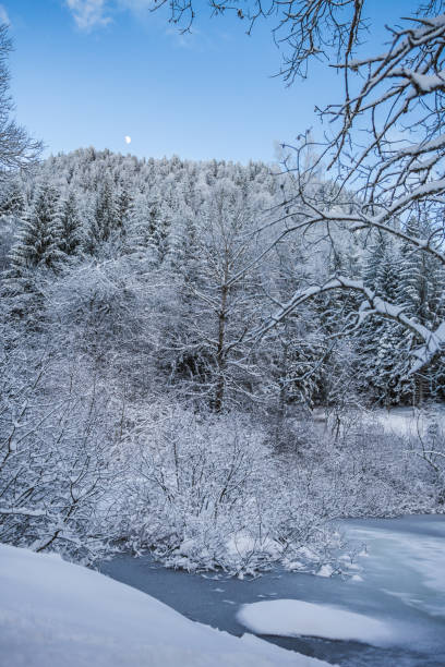 istock Frozen lake in snowy forest in winter 904182368