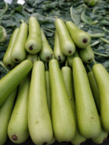 istock Raw green Calabash on display at Vegetable Stall 904182982