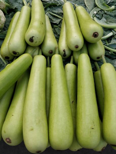 istock Raw green Calabash on display at Vegetable Stall 904183034