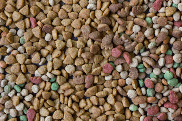 istock Dry pet food background. 904185598