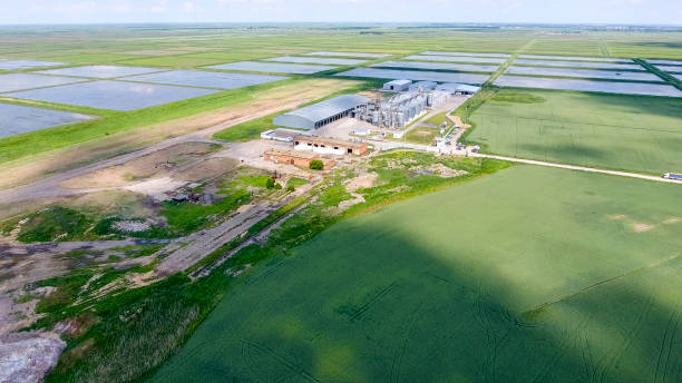 istock Plant for the drying and storage of grain 904185712
