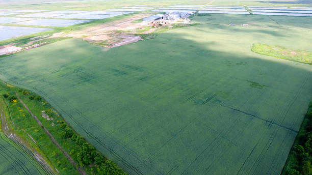 istock Plant for the drying and storage of grain 904185720