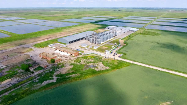 istock Plant for the drying and storage of grain 904185758
