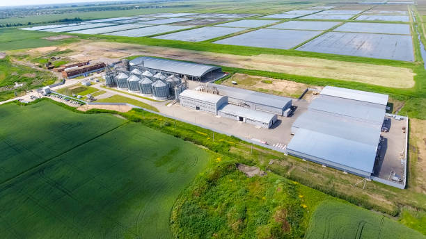 istock Plant for the drying and storage of grain 904185938
