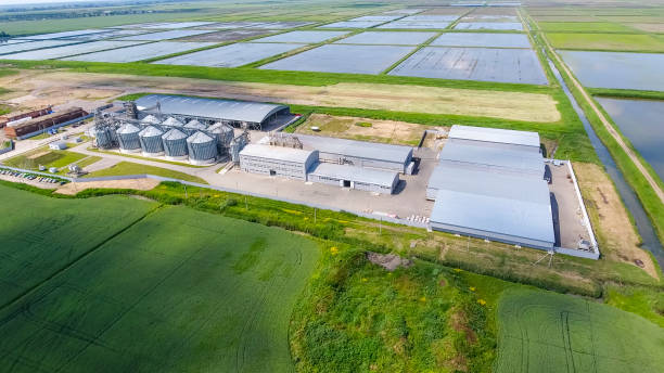 istock Plant for the drying and storage of grain 904185956