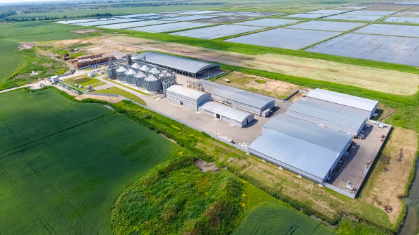istock Plant for the drying and storage of grain 904185974