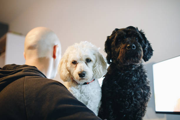 istock Family of three 904188408