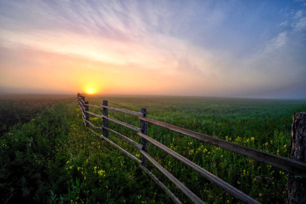 Sunrise with meadow and fence