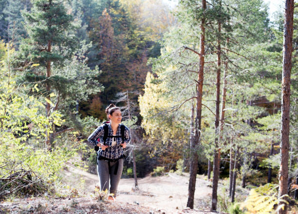 istock Beautiful woman hiker on forest trail 904206292