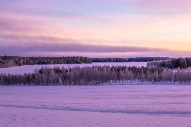istock Winter landscape from Sotkamo, Finland. 904210528