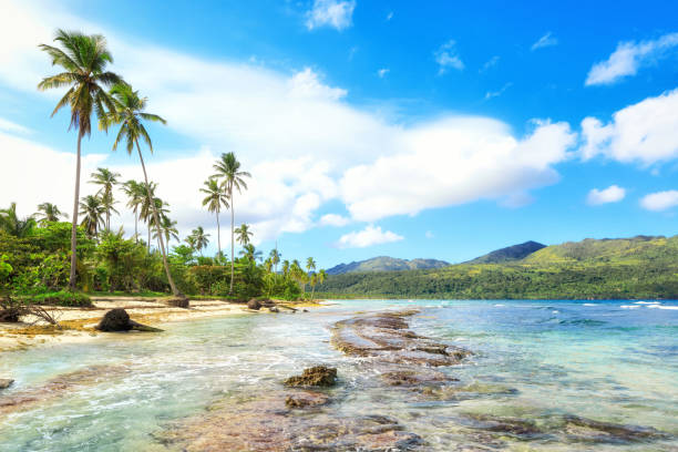 istock Vacation in Dominican Republic 904210558