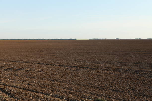istock Photography of Russian fields 904210592