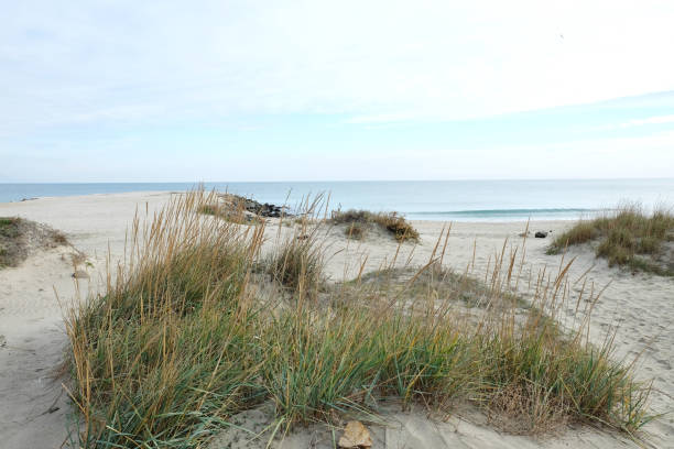 istock Blue sky and sea in the morning 904211012