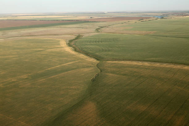 istock Photography of Russian fields 904211628