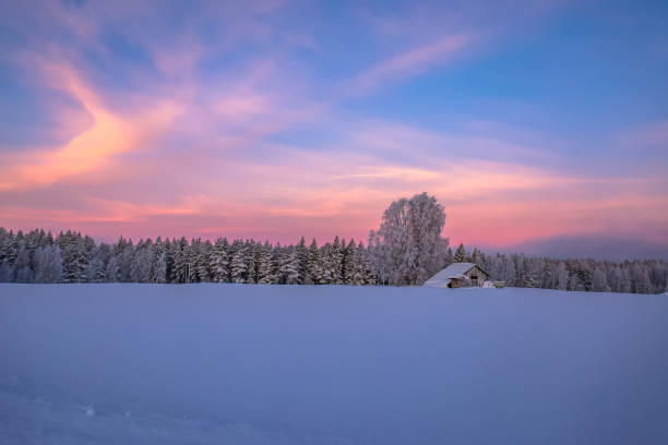 istock Winter landscape from Sotkamo, Finland. 904212028