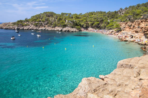istock Cala Salada beach, Ibiza, Spain 904215044