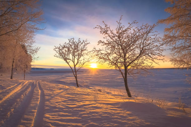 istock Winter landscape from Sotkamo, Finland. 904215154