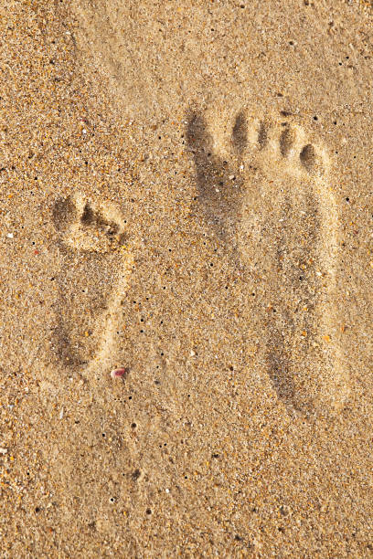 istock Family footprints in the sand on the beach 904215978