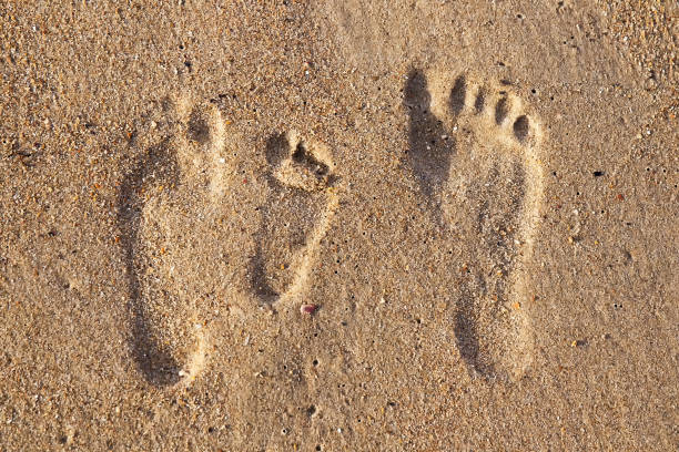 istock Family footprints in the sand on the beach 904216154