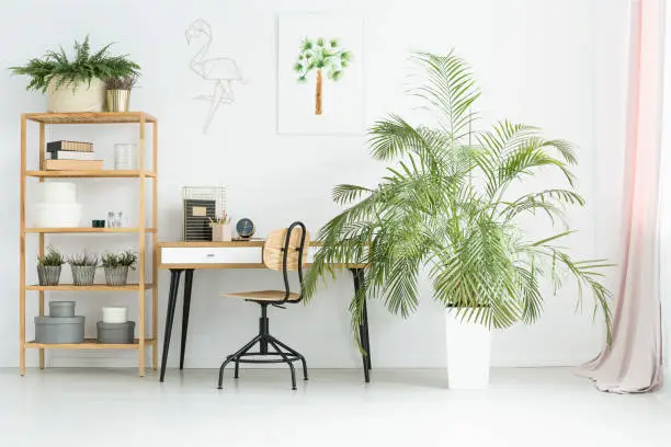 White workspace in flat interior with potted plants, desk, poster and wooden rack with decorations