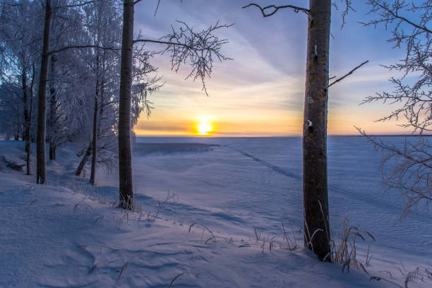 istock Winter landscape from Sotkamo, Finland. 904223352