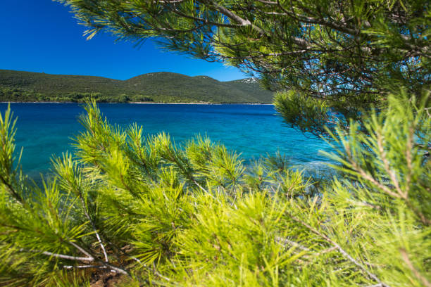 istock Coastline of the Adriatic Sea 904224956
