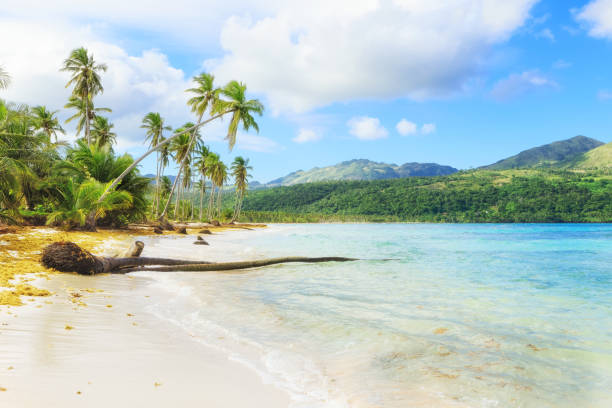 istock Vacation in Dominican Republic 904230728
