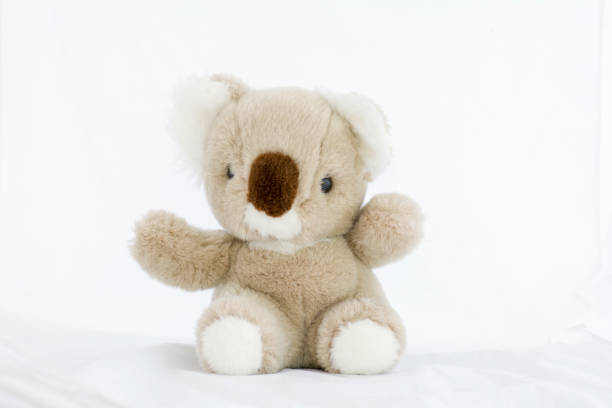 istock soft toy teddy bear  sitting on white background. 904230780