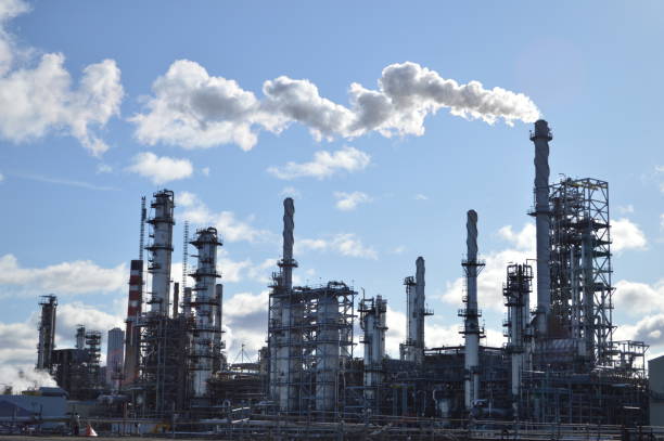 istock Interesting contrast between the vegetation in the foreground an a pollutante industry emtting a huge amount of smoke contributing to climate change.  The sky is crystal blue. 904241908
