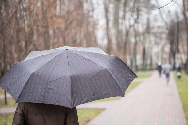 istock Close-up of dark  umbrella during rain. 904241996