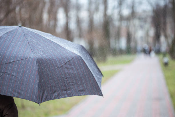 istock Close-up of dark  umbrella during rain. 904242126